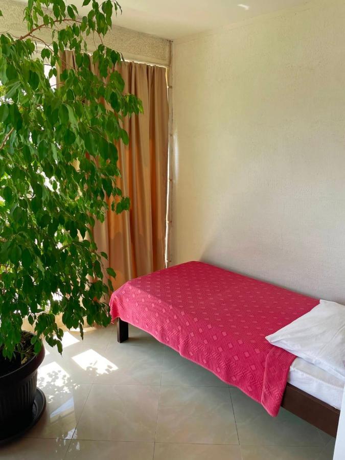 Apartmani Mina Херцег-Нови Экстерьер фото